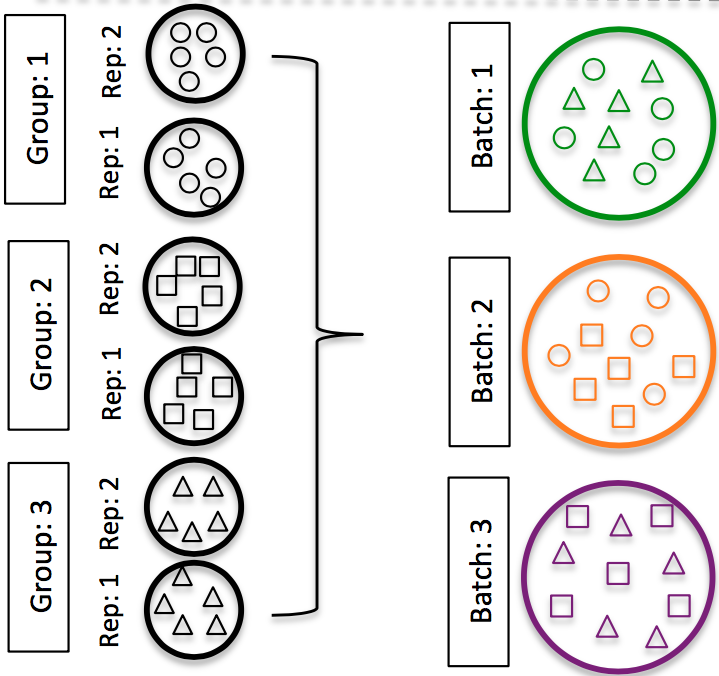 Batch Effect