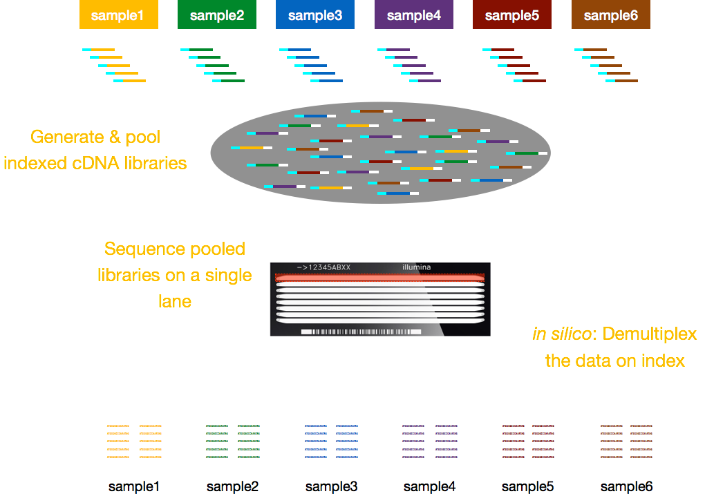 Demultiplexing