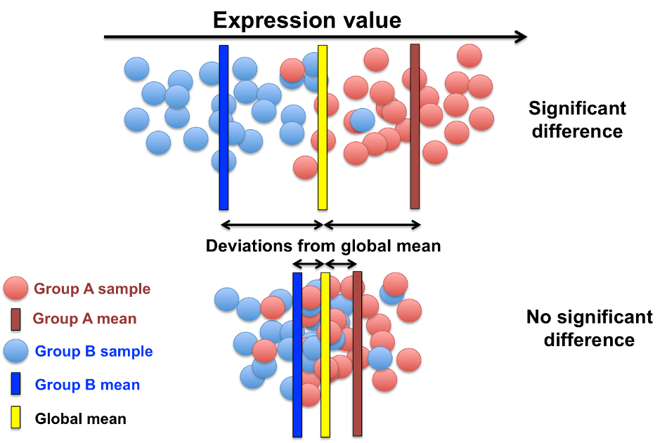 Differential Gene Expression