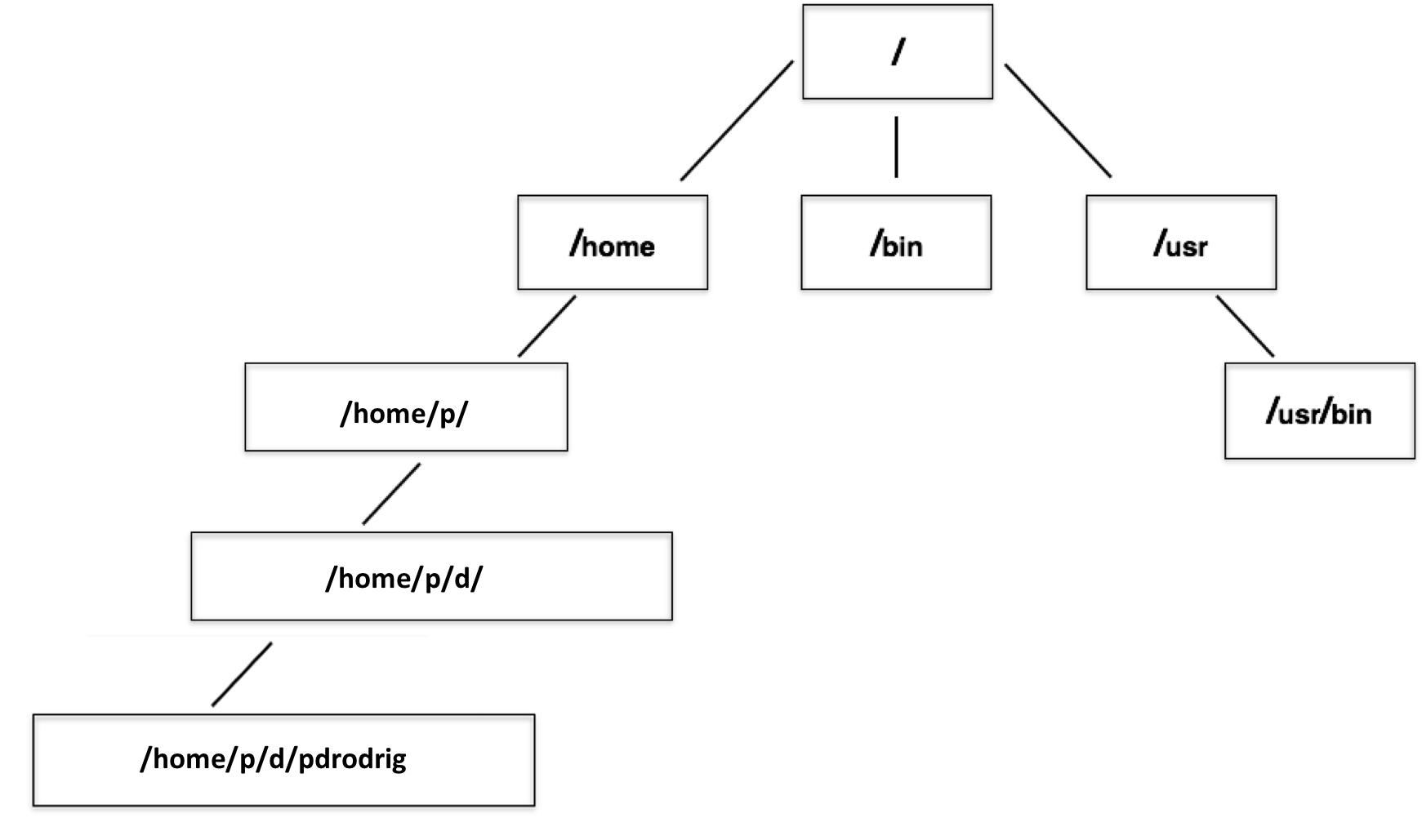 directory_structure