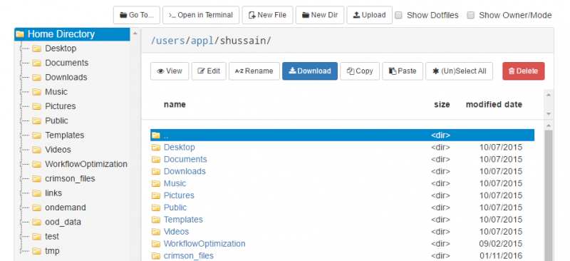 File Explorer