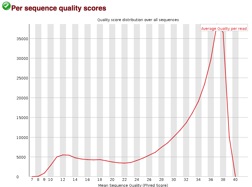 FASTQC Per Sequence Quality Scores