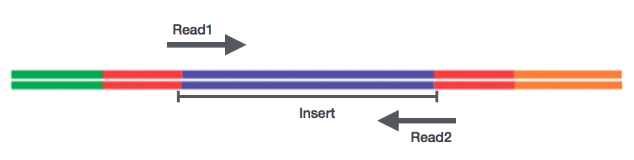 Paired End Reads