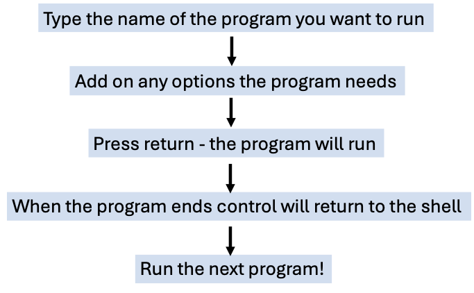running-program1