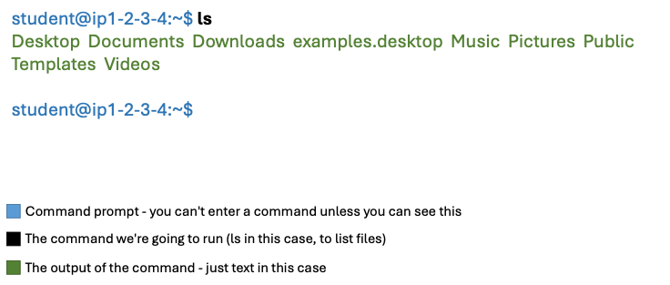 running-program2