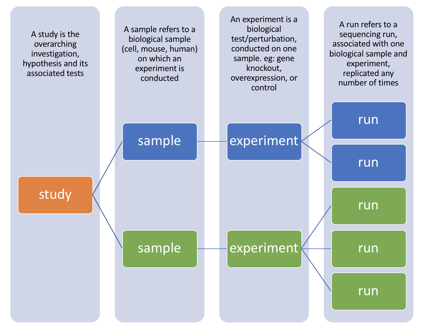 SRA Structure