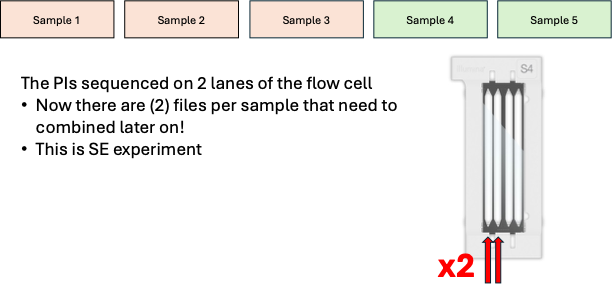 Run Selector Samples