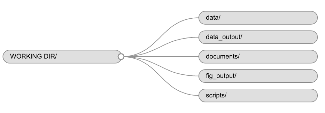 RStudio interface.